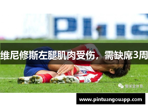 维尼修斯左腿肌肉受伤，需缺席3周